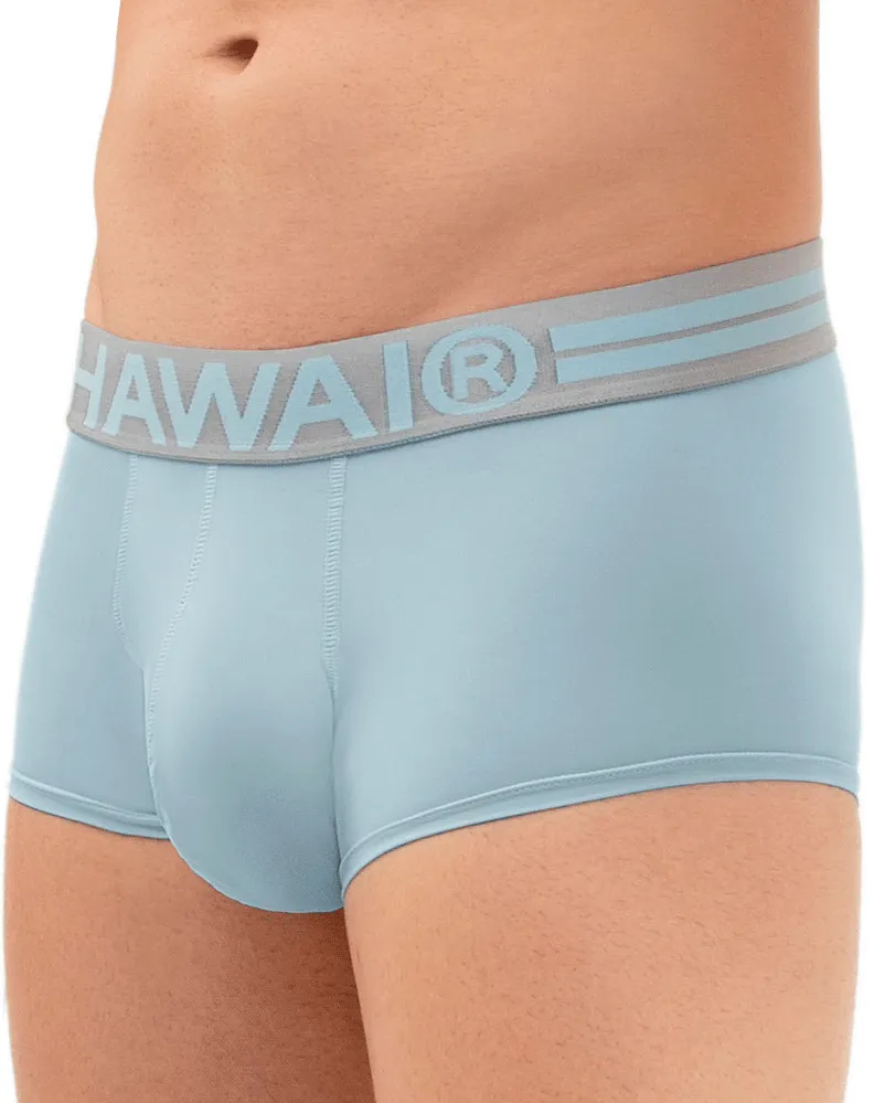 Clothing_Hawai_Mens Underwear Hawai 41961 Briefs Light Blue