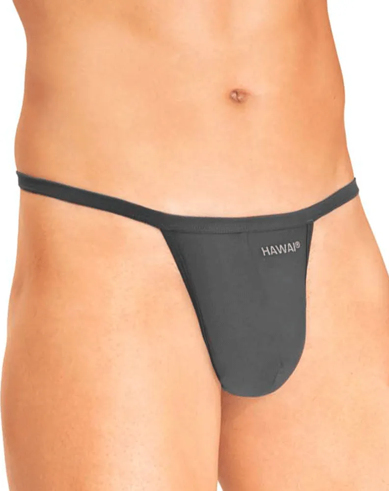Clothing_Hawai_Mens Underwear Hawai 42295 Microfiber G-string Grey