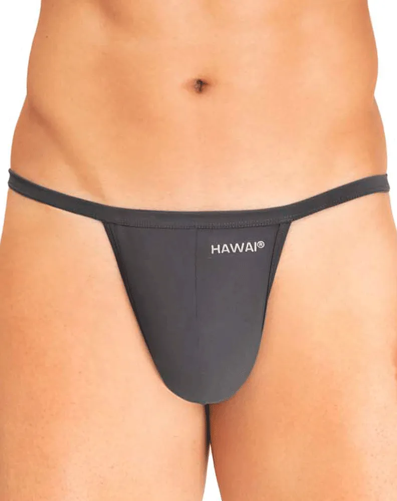 Clothing_Hawai_Mens Underwear Hawai 42295 Microfiber G-string Grey