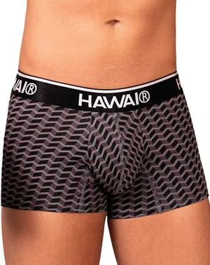 Clothing_Hawai_Mens Underwear Hawai 42371 Printed Trunks Gray
