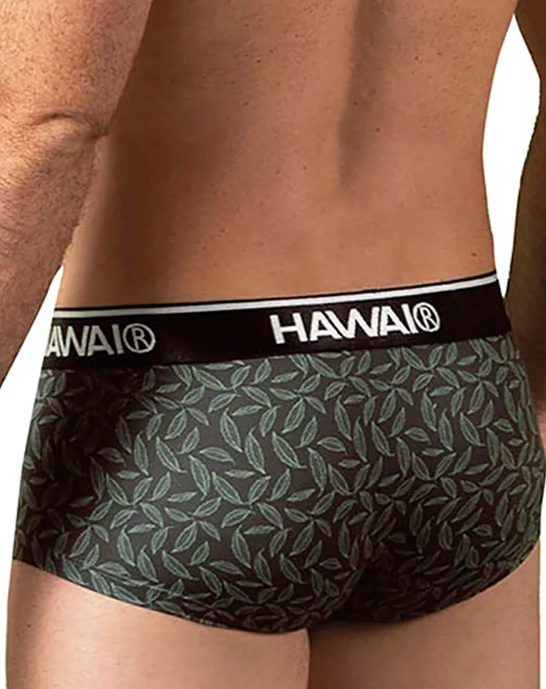 Clothing_Hawai_Mens Underwear Hawai 42380 Printed Briefs Green