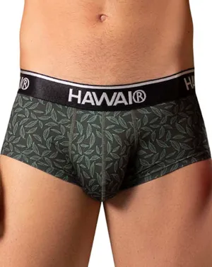 Clothing_Hawai_Mens Underwear Hawai 42380 Printed Briefs Green