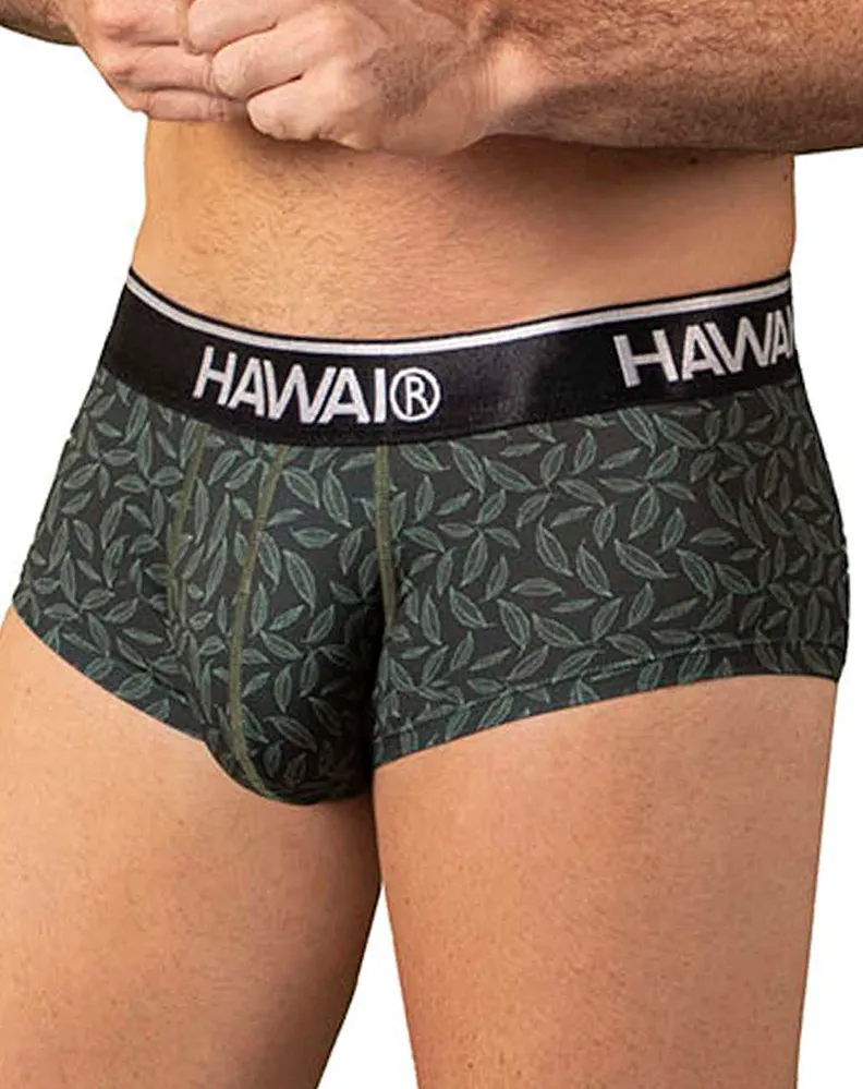 Clothing_Hawai_Mens Underwear Hawai 42380 Printed Briefs Green