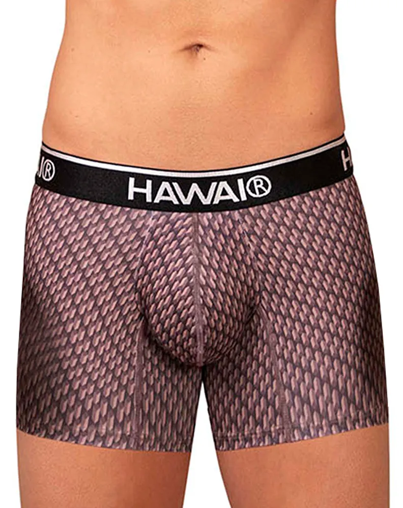 Clothing_Hawai_Mens Underwear Hawai 42420 Printed Trunks Cocoa