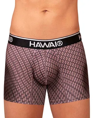 Clothing_Hawai_Mens Underwear Hawai 42420 Printed Trunks Cocoa
