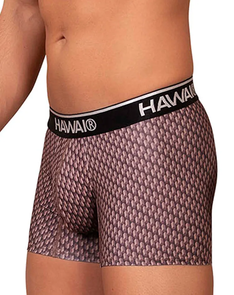 Clothing_Hawai_Mens Underwear Hawai 42420 Printed Trunks Cocoa