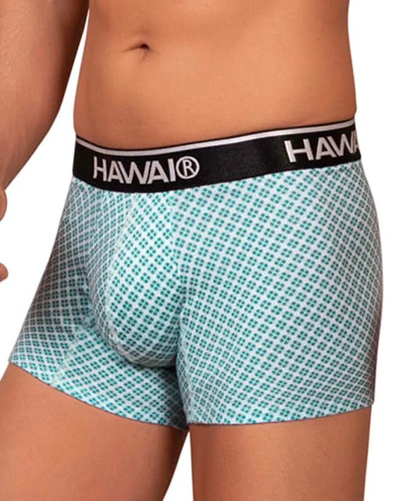 Clothing_Hawai_Mens Underwear Hawai 42421 Printed Trunks Green