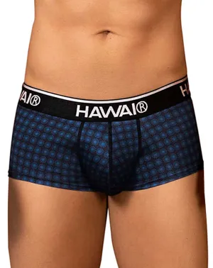 Clothing_Hawai_Mens Underwear Hawai 42430 Printed Briefs Blue