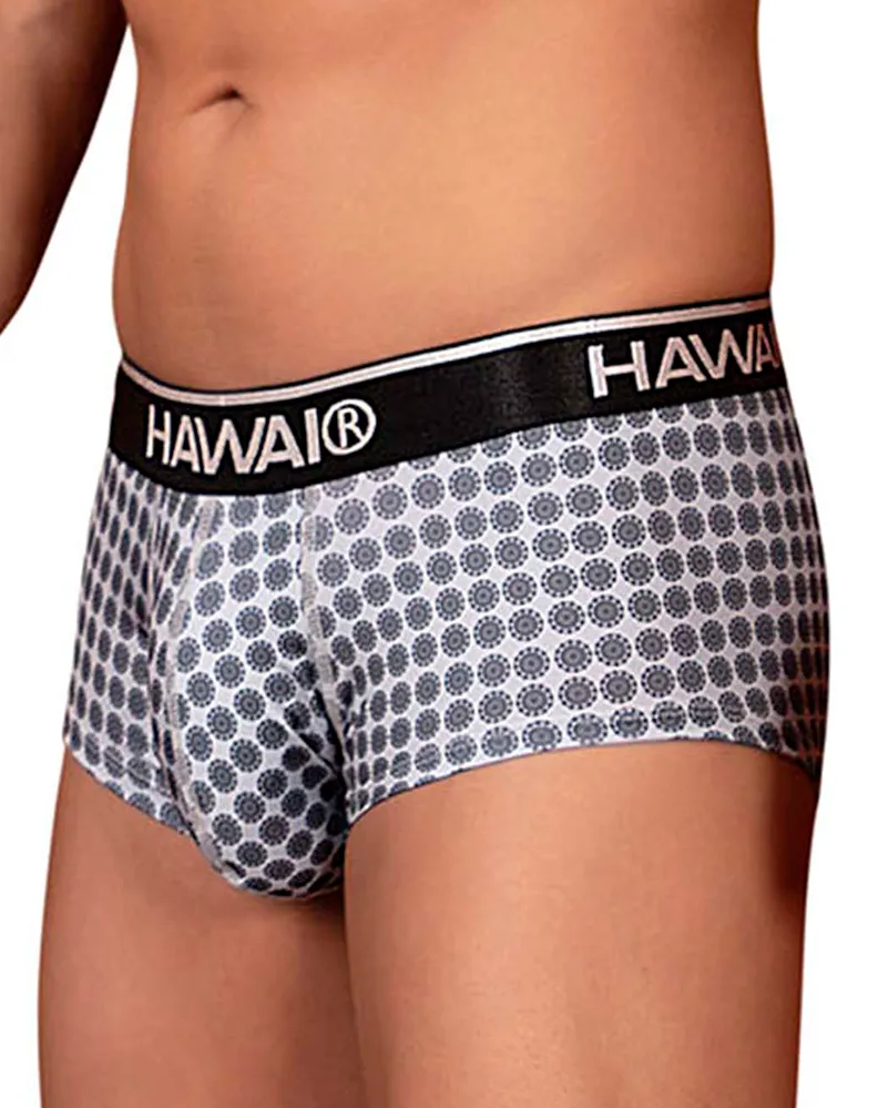 Clothing_Hawai_Mens Underwear Hawai 42430 Printed Briefs Gray