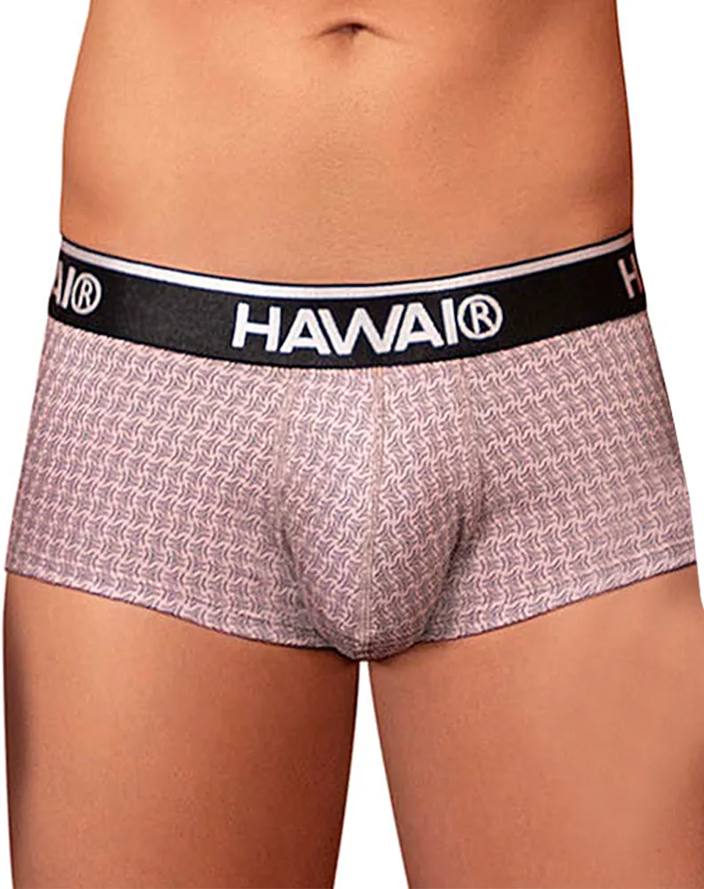 Clothing_Hawai_Mens Underwear Hawai 42431 Printed Briefs Cocoa