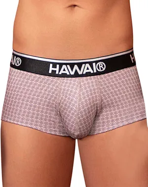 Clothing_Hawai_Mens Underwear Hawai 42431 Printed Briefs Cocoa