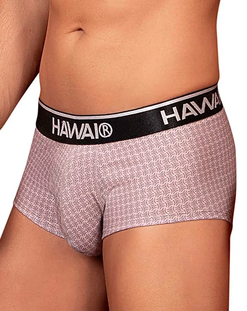 Clothing_Hawai_Mens Underwear Hawai 42431 Printed Briefs Cocoa