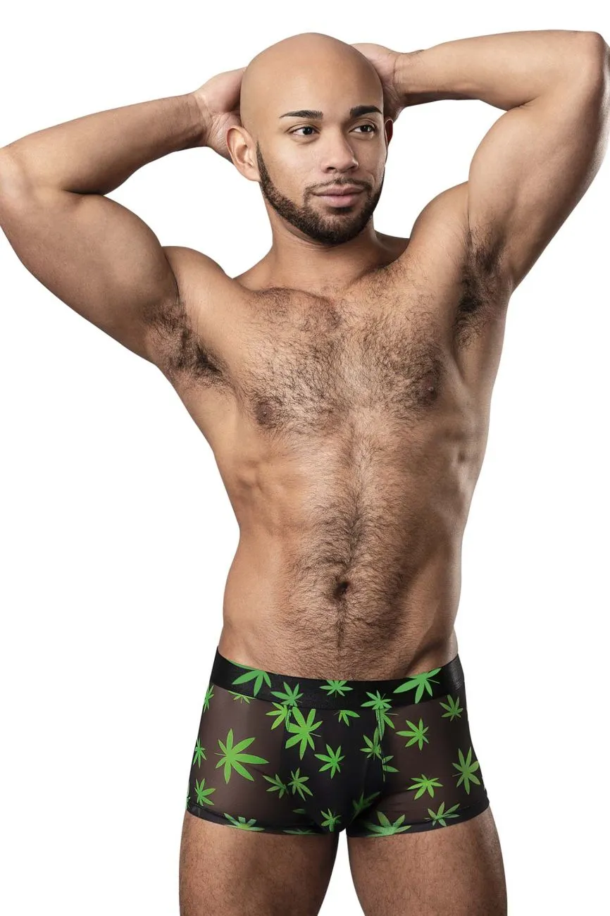 Clothing_Male Power_Mens Underwear Male Power 145-294 Hazy Dayz Pouch Short Color Pot Leaf