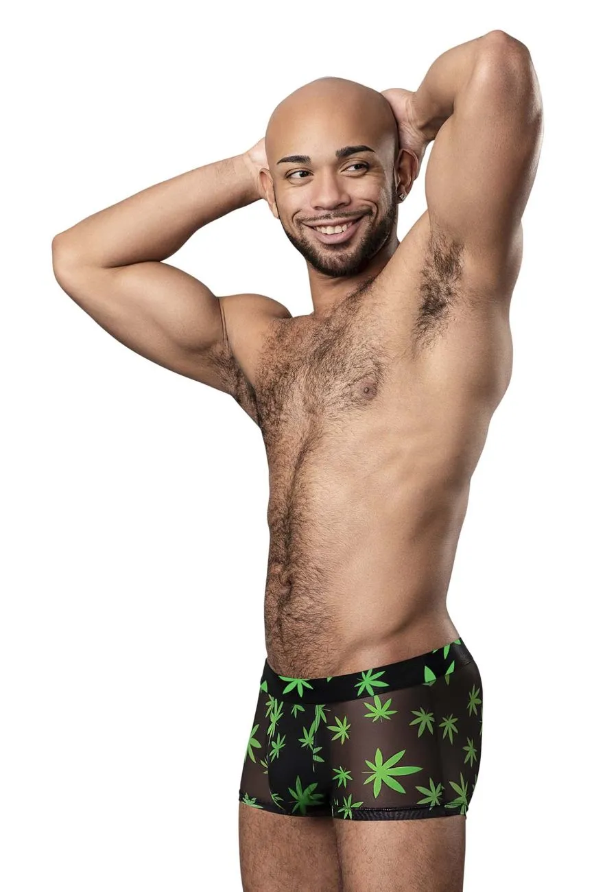 Clothing_Male Power_Mens Underwear Male Power 145-294 Hazy Dayz Pouch Short Color Pot Leaf