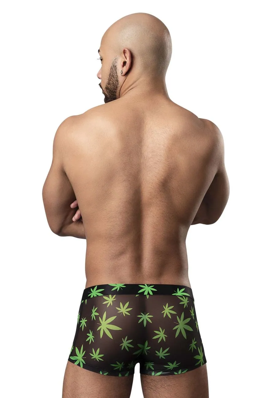 Clothing_Male Power_Mens Underwear Male Power 145-294 Hazy Dayz Pouch Short Color Pot Leaf