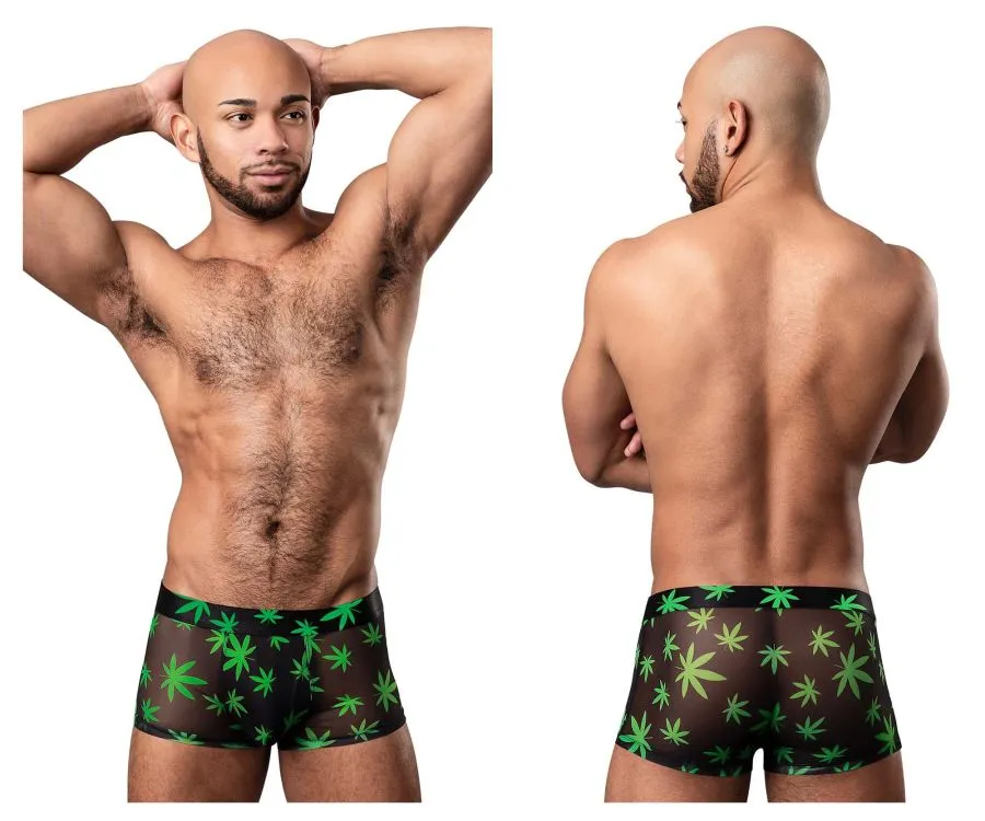 Clothing_Male Power_Mens Underwear Male Power 145-294 Hazy Dayz Pouch Short Color Pot Leaf