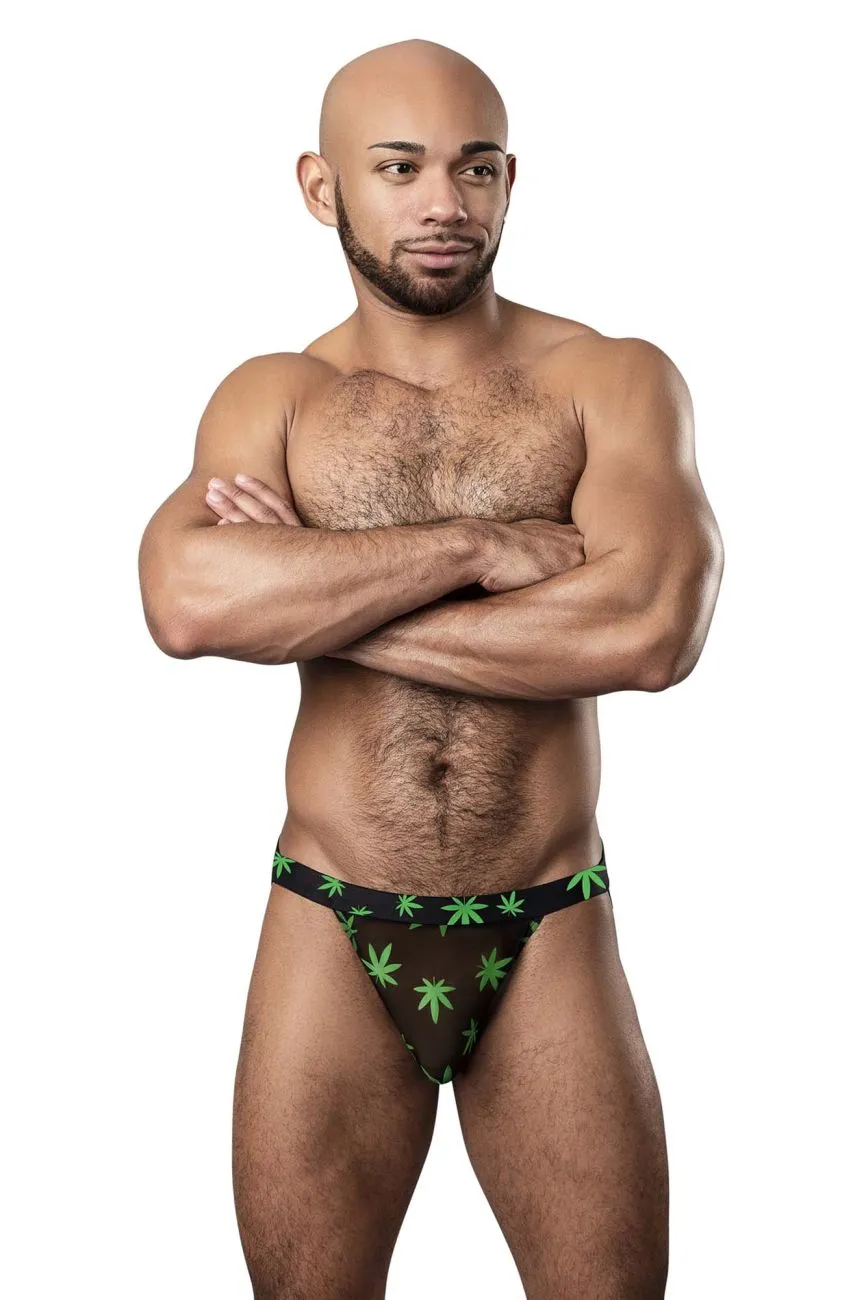 Clothing_Male Power_Mens Underwear Male Power 390-294 Hazy Dayz Jock Color Pot Leaf