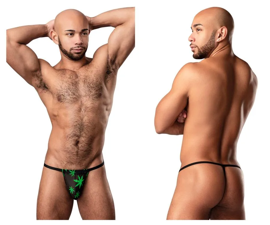 Clothing_Male Power_Mens Underwear Male Power 450-294 Hazy Dayz Posing Strap Color Pot Leaf
