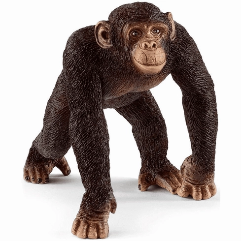 Schleich WILD LIFE - Chimpanzee, male